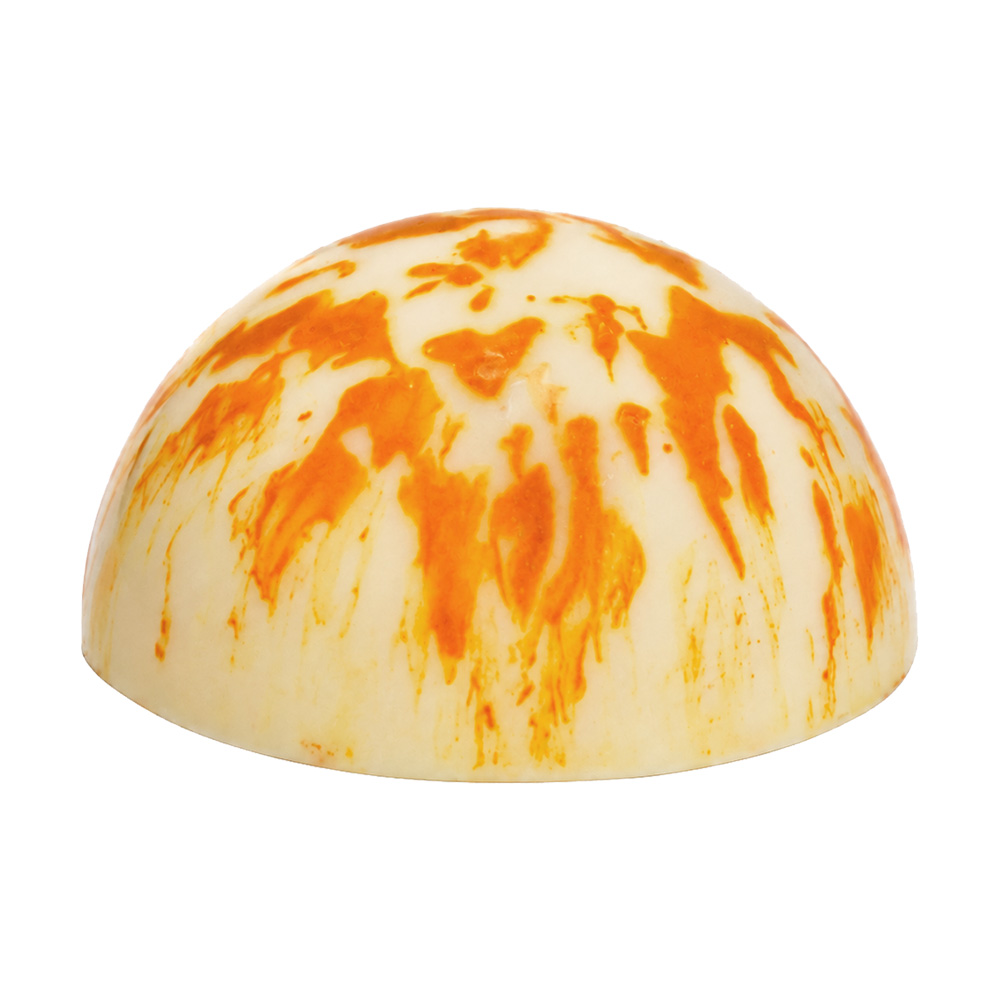 Rakytník